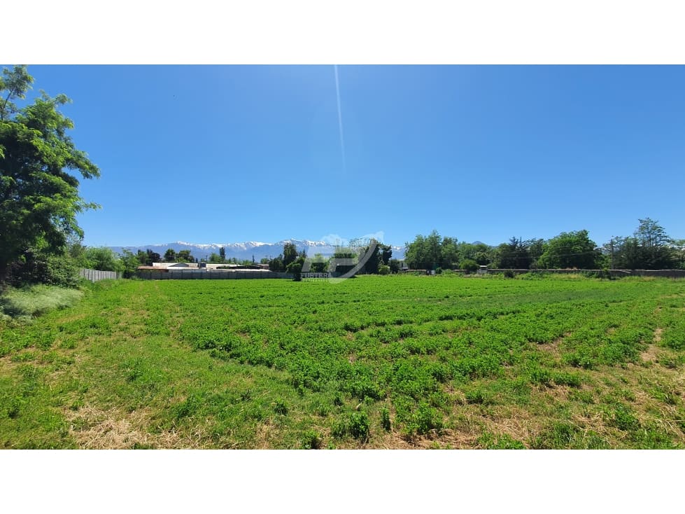Terreno en venta en San Felipe — foto 10