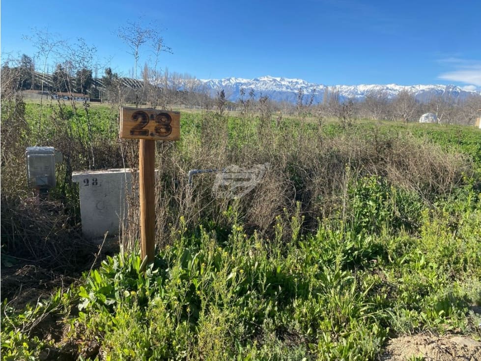 Parcela en venta en Calle Larga — foto 2