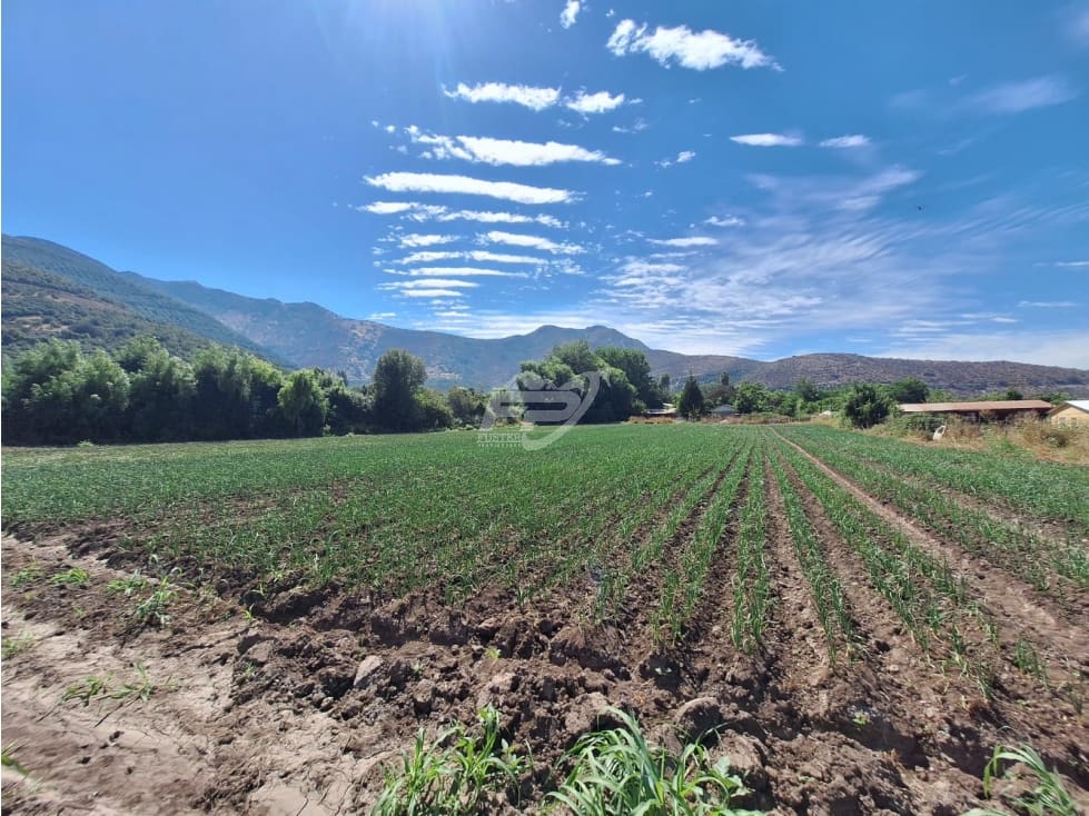 Terreno en venta en Catemu — foto 1