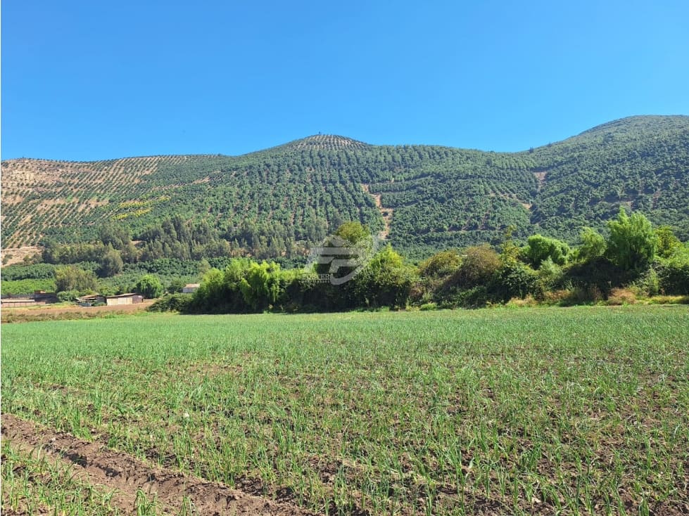 Terreno en venta en Catemu — foto 4