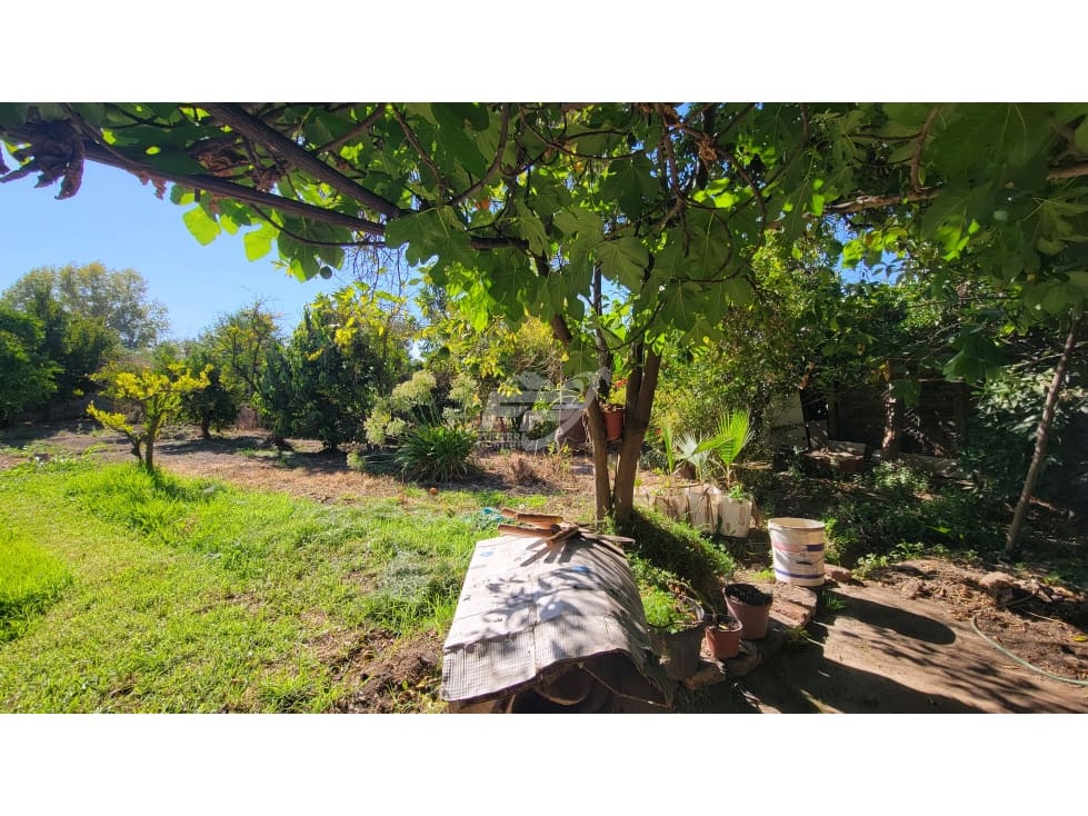 Terreno en venta en San Esteban — foto 1