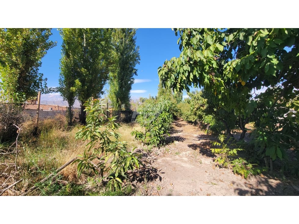 Terreno en venta en San Esteban — foto 2