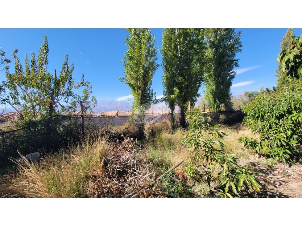 Terreno en venta en San Esteban — foto 3
