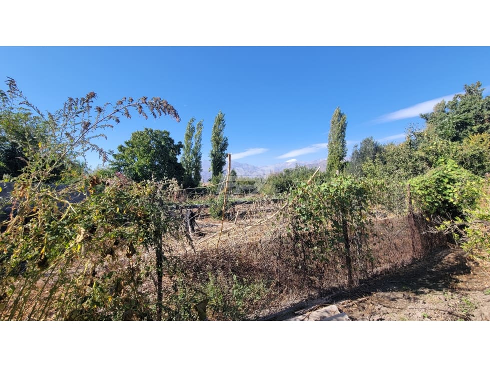 Terreno en venta en San Esteban — foto 6