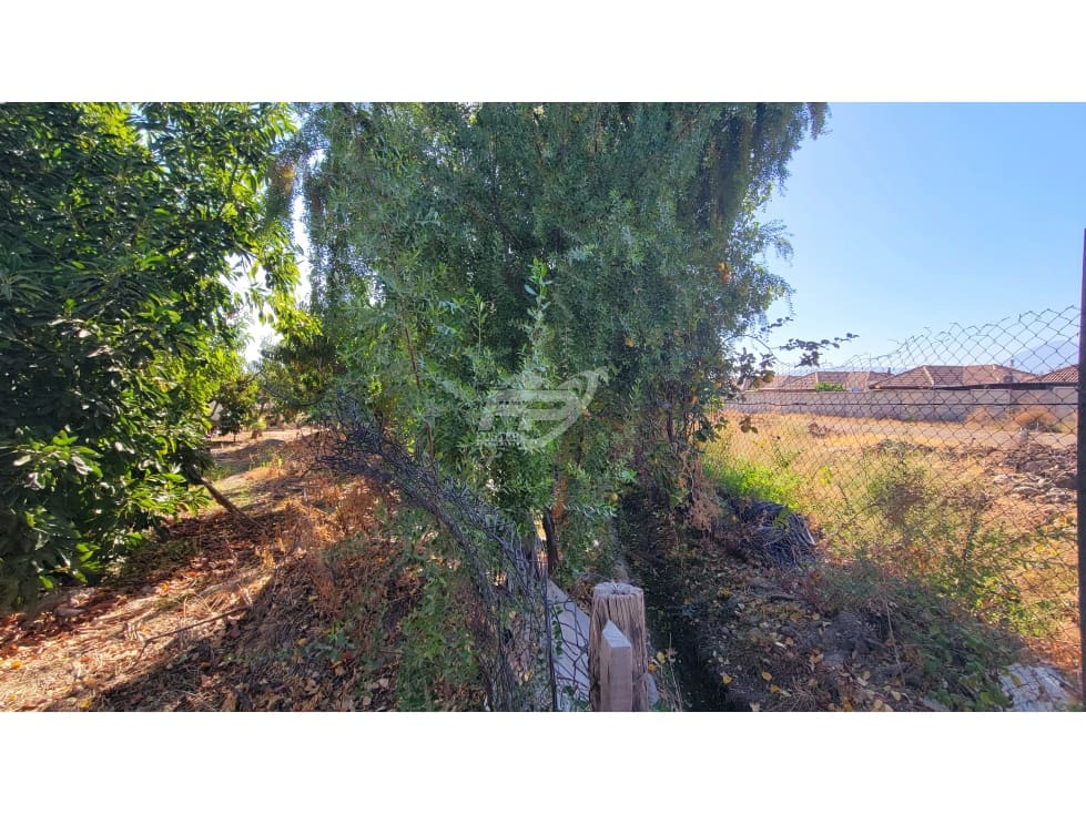 Terreno en venta en San Esteban — foto 7