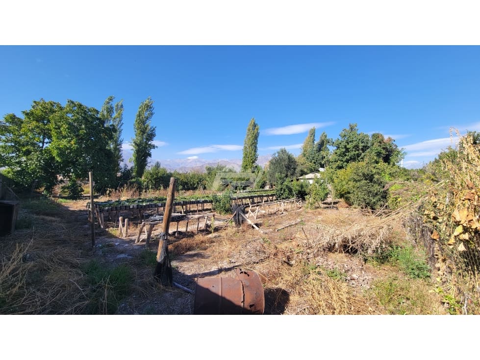 Terreno en venta en San Esteban — foto 8