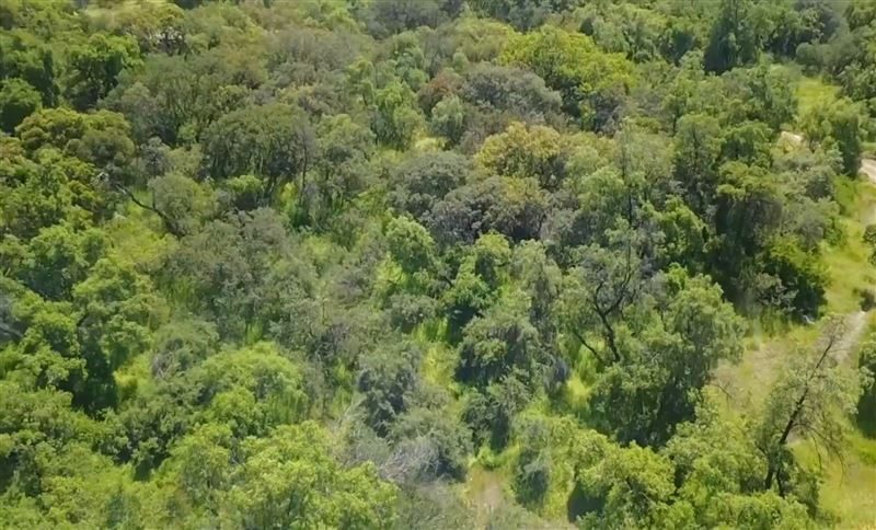 Terreno en venta en Vitacura — foto 2