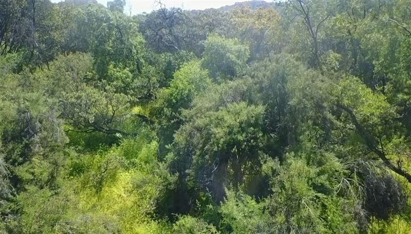 Terreno en venta en Vitacura — foto 3