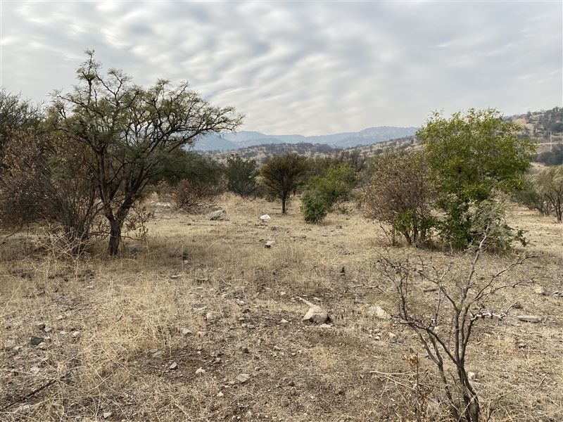Terreno en venta en Colina — foto 10