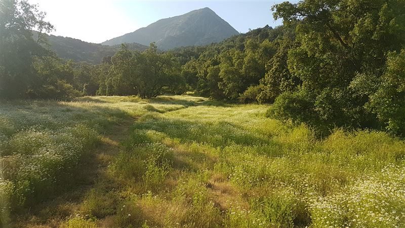 Terreno en venta en Vitacura — foto 2
