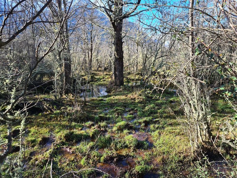 Terreno en venta en Río Ibáñez — foto 3