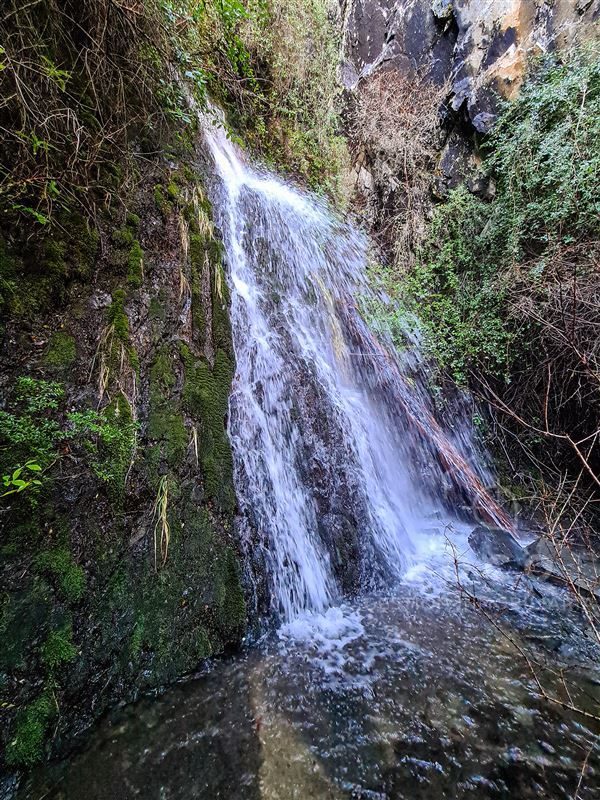 Terreno en venta en Río Ibáñez — foto 5