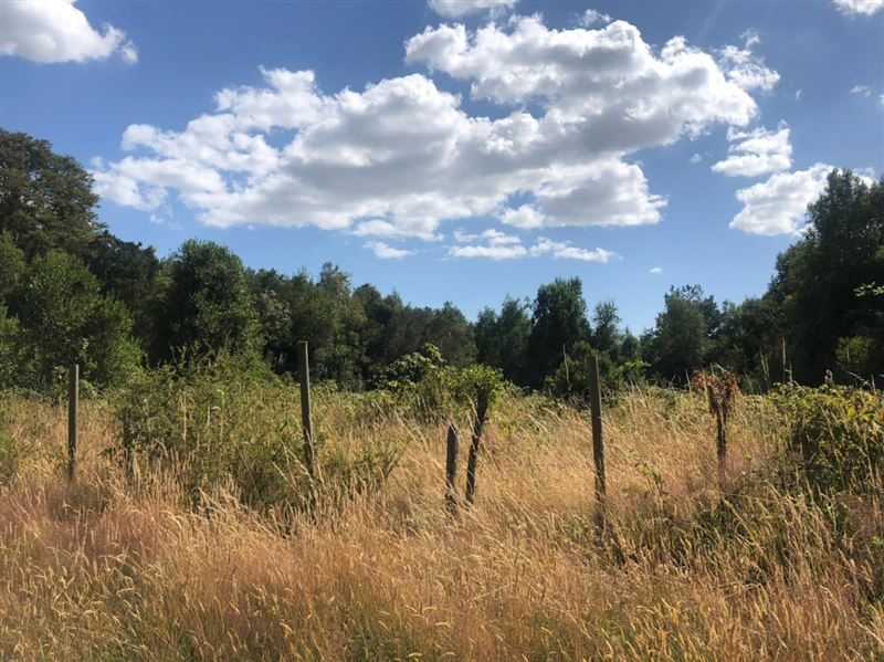 Terreno en venta en Fresia — foto 2