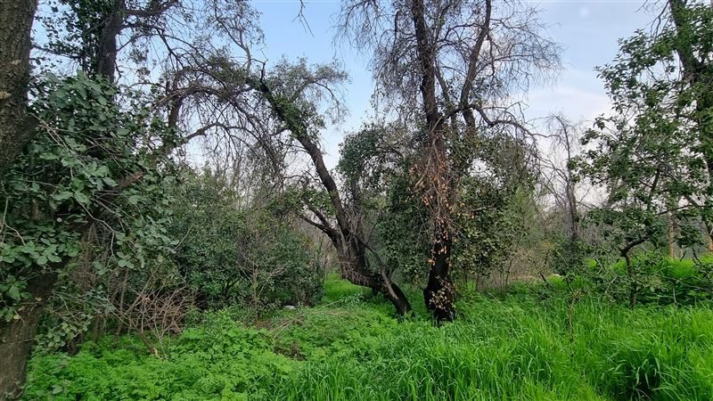 Terreno en venta en Vitacura — foto 1