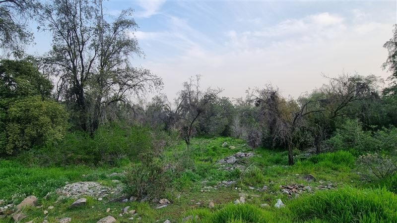 Terreno en venta en Vitacura — foto 3