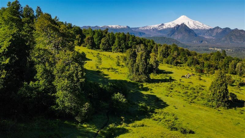Terreno en venta en Pucón — foto 5