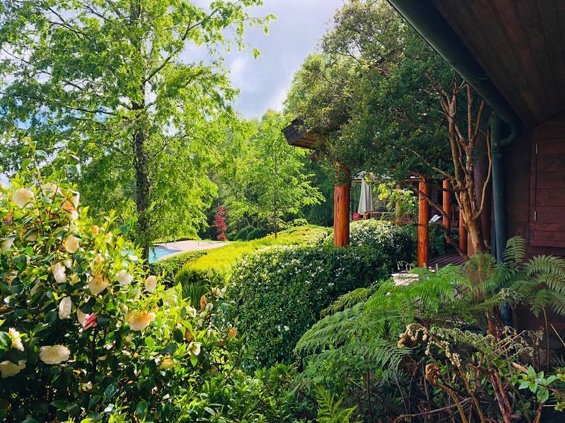 Casa en venta en Pucón — foto 3