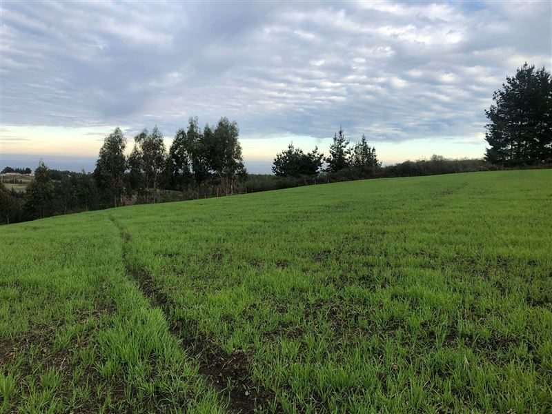Terreno en venta en Cobquecura — foto 1