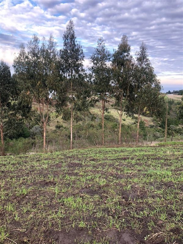 Terreno en venta en Cobquecura — foto 5