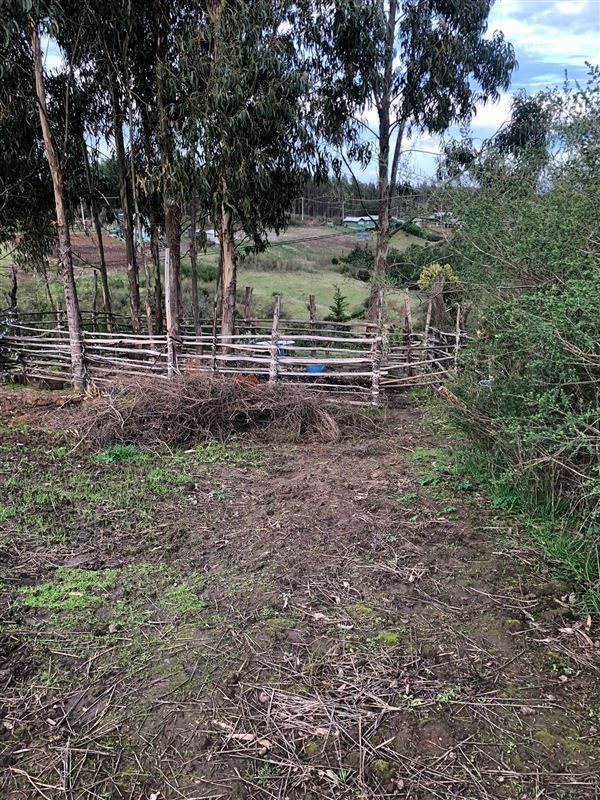 Terreno en venta en Cobquecura — foto 9