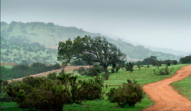 Terreno en venta en Zapallar — foto 2