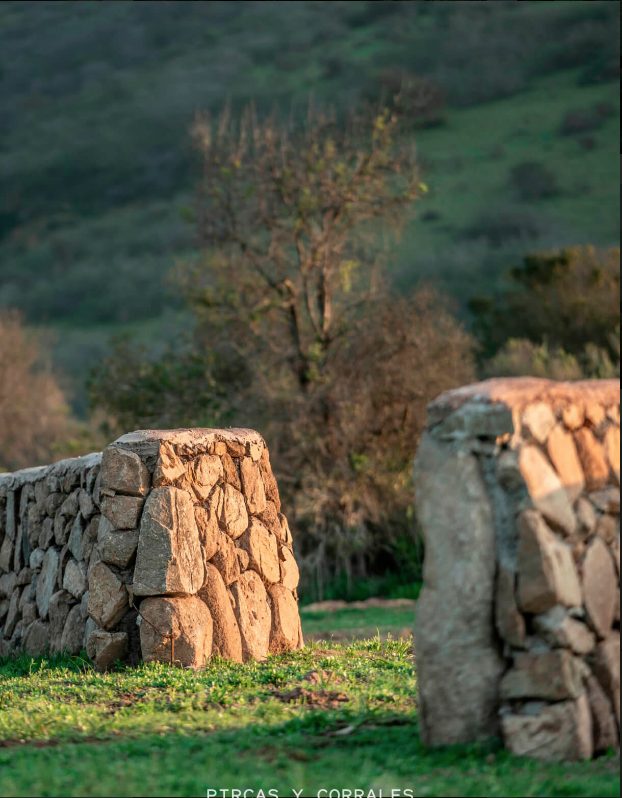 Terreno en venta en Zapallar — foto 3