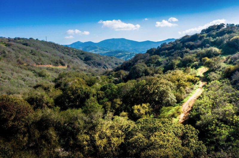 Terreno en venta en Zapallar — foto 6