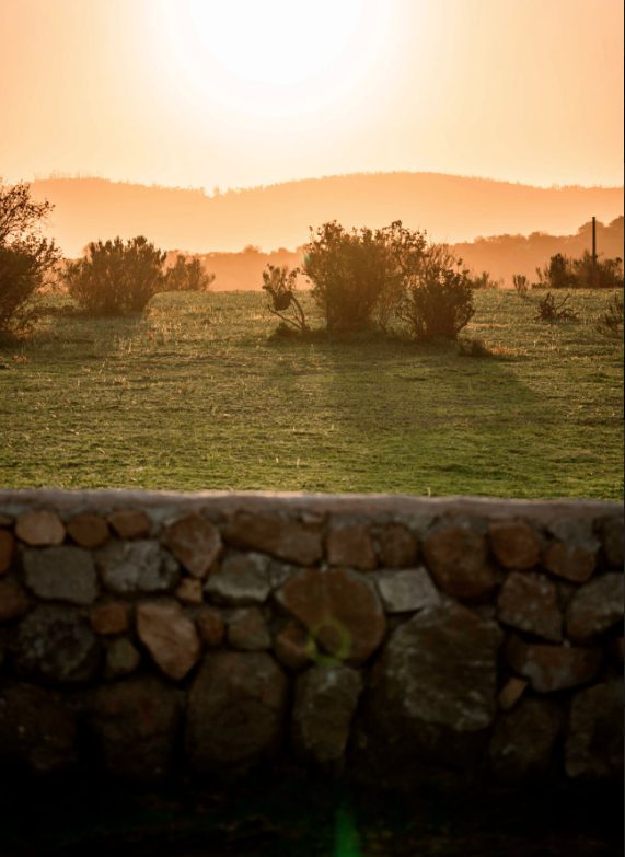 Terreno en venta en Zapallar — foto 9