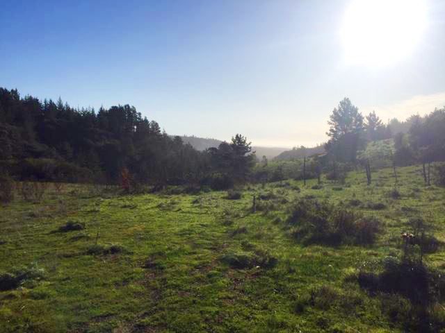 Terreno en venta en Navidad — foto 2