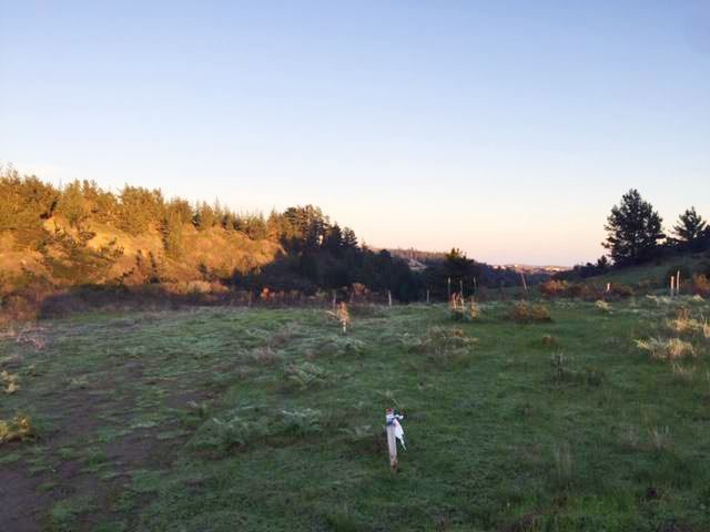 Terreno en venta en Navidad — foto 4