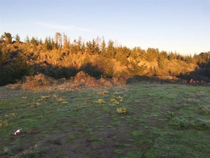 Terreno en venta en Navidad — foto 5