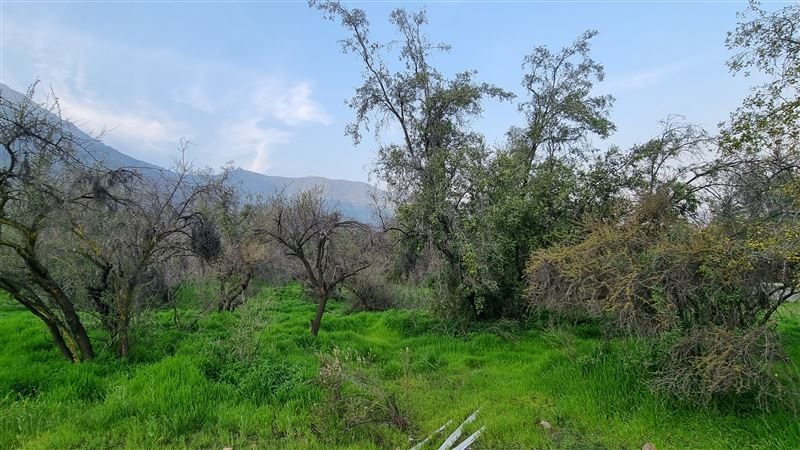 Terreno en venta en Vitacura — foto 2