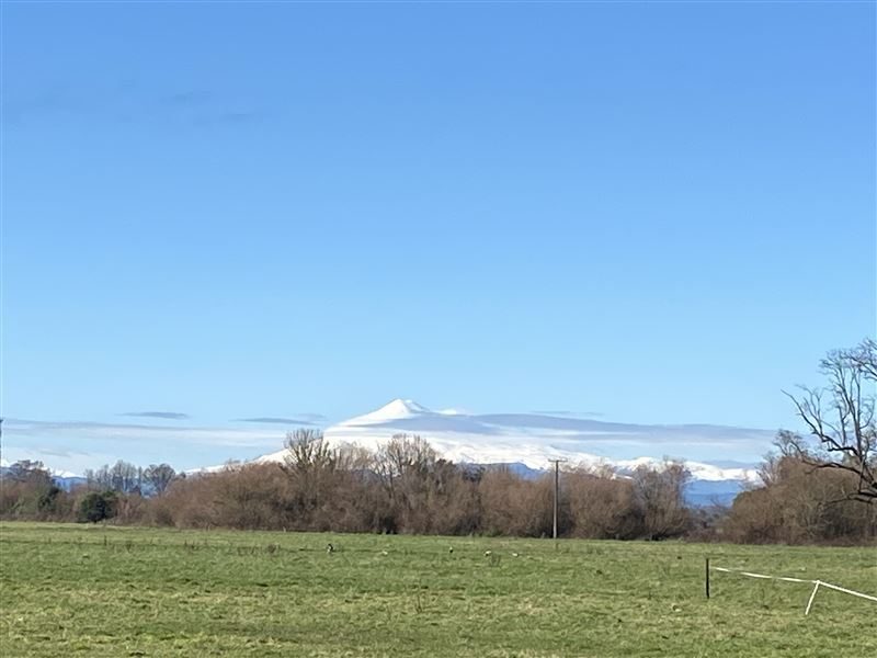 Terreno en venta en Vilcún — foto 4