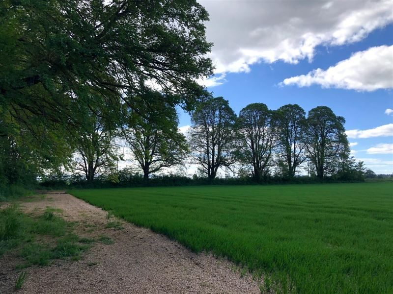 Terreno en venta en Vilcún — foto 6