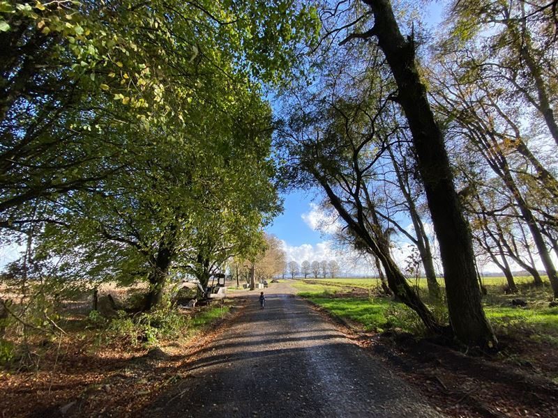 Terreno en venta en Vilcún — foto 8