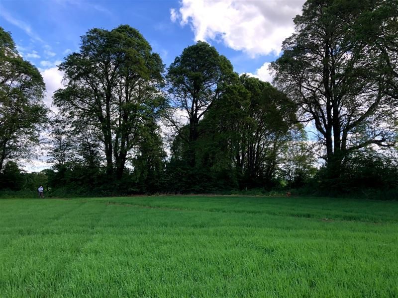 Terreno en venta en Vilcún — foto 9