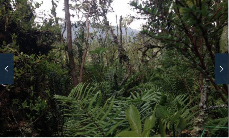 Terreno en venta en Queilén — foto 4