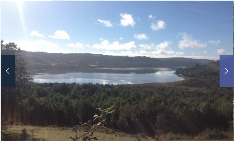 Terreno en venta en Queilén — foto 5