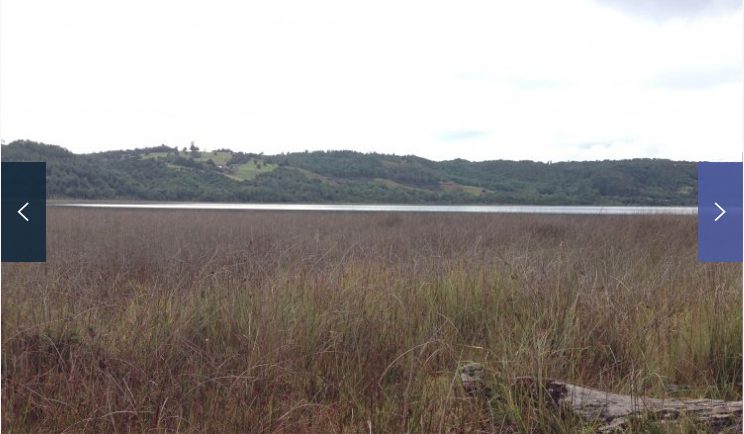 Terreno en venta en Queilén — foto 7