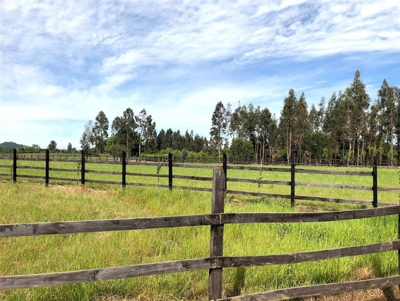 Parcela en venta en San Clemente — foto 1