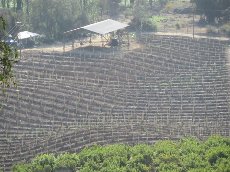 Parcela en venta en Melipilla — foto 6