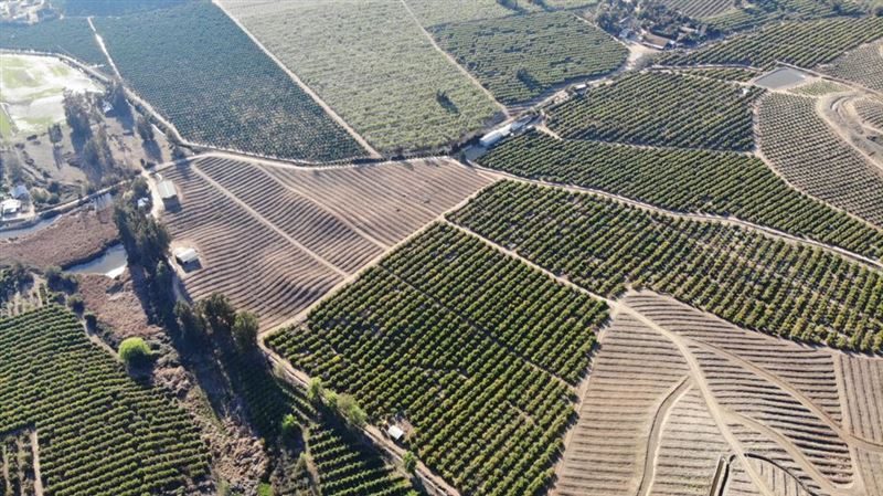 Parcela en venta en Melipilla — foto 7