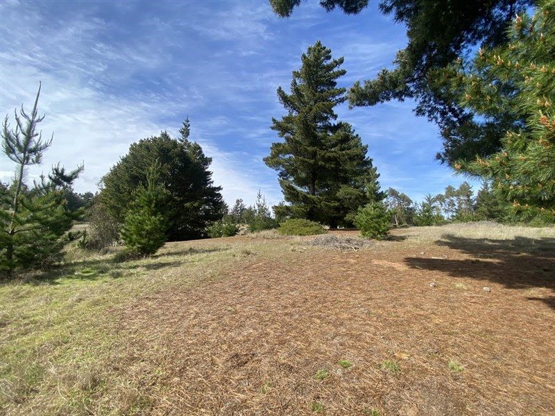 Terreno en venta en Navidad — foto 1