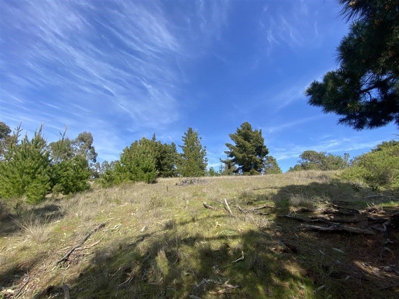 Terreno en venta en Navidad — foto 3