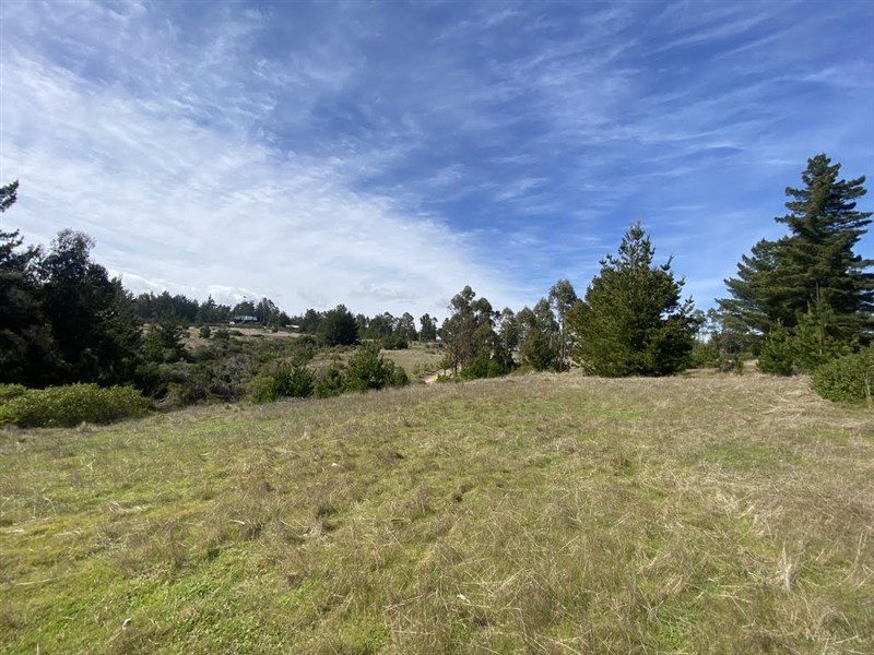 Terreno en venta en Navidad — foto 4