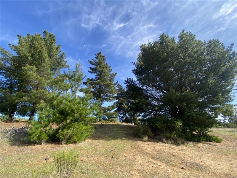 Terreno en venta en Navidad — foto 6