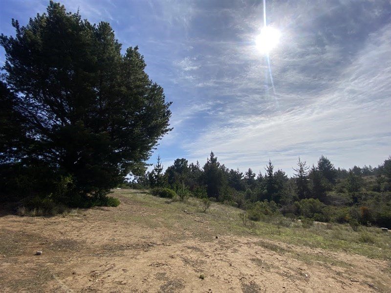 Terreno en venta en Navidad — foto 7