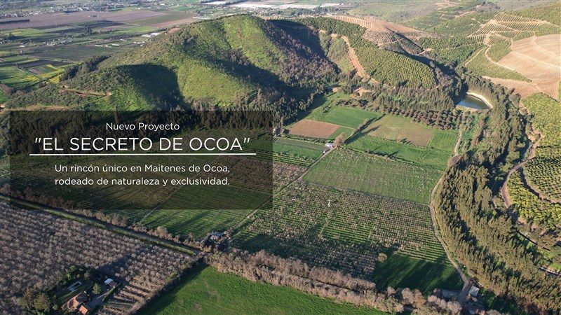 Terreno en venta en Hijuelas — foto 1