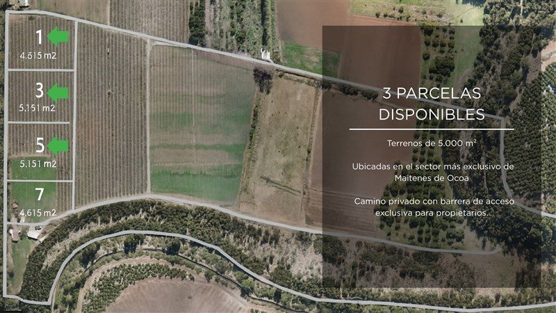 Terreno en venta en Hijuelas — foto 4