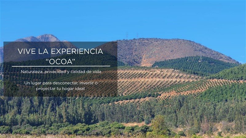 Terreno en venta en Hijuelas — foto 6